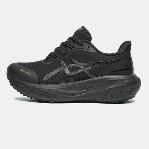 Asics Gel-Kayano 30 GORE-TEX Black VZ19051 фото