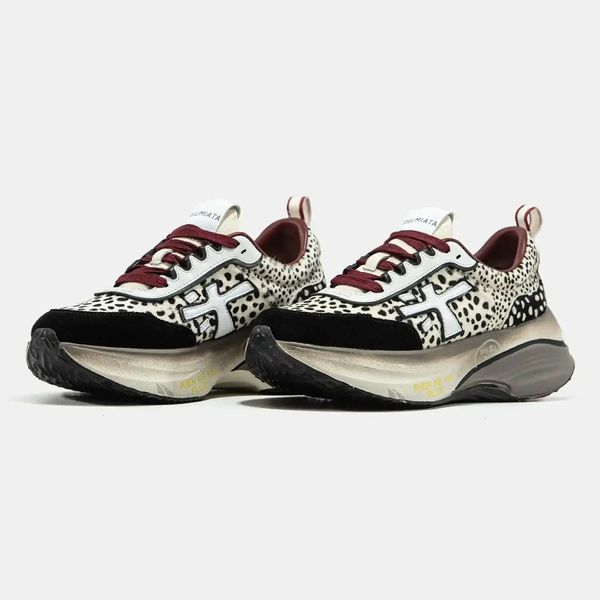 Premiata HILL Leopard Black Burgundy VZ19547 фото